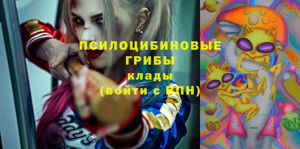 метадон Арсеньев